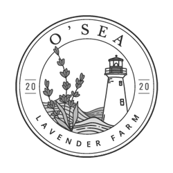 O_Sea_logo Website_logo BW